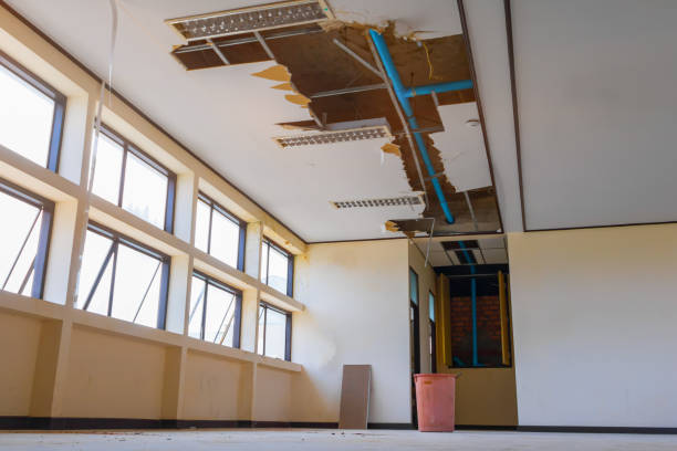 Best Fire Damage Restoration  in Walnut Cove, NC