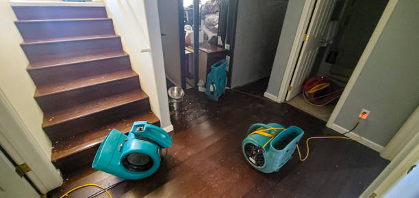 Best Residential water damage restoration  in Walnut Cove, NC