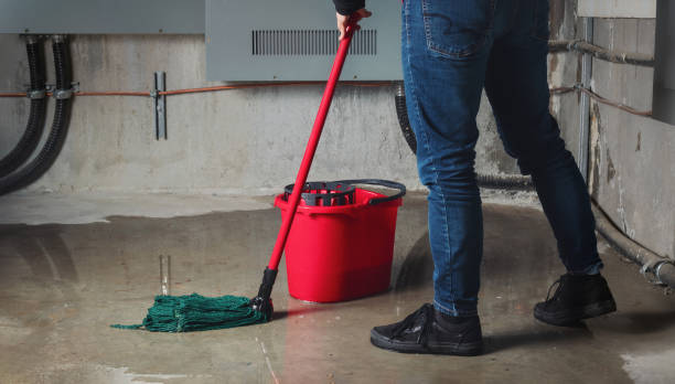  Walnut Cove, NC Water damage restoration Pros