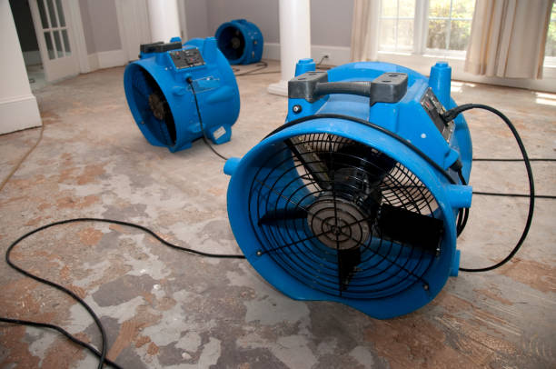 Best Carpet water damage restoration  in Walnut Cove, NC
