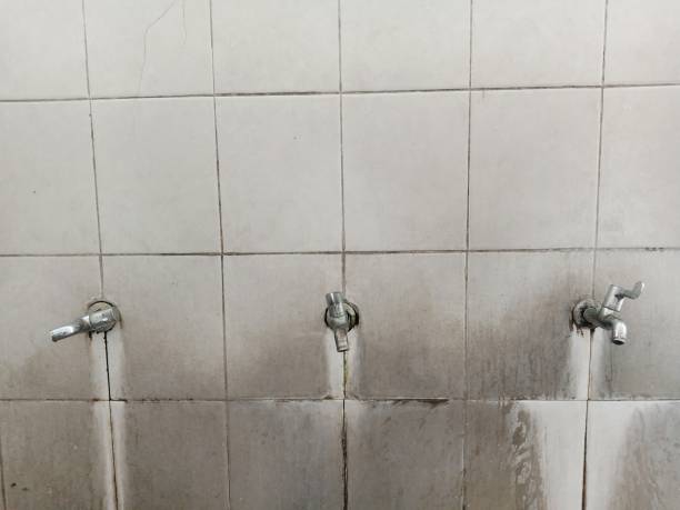 Best Residential water damage restoration  in Walnut Cove, NC