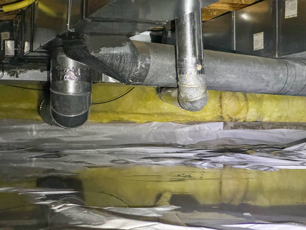 Best Flood restoration services  in Walnut Cove, NC