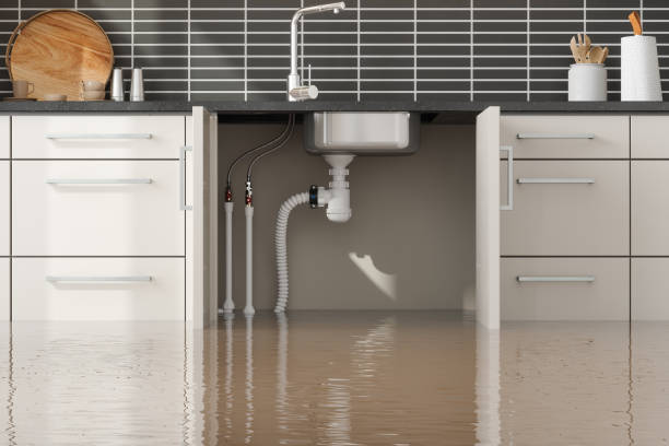 Best 24/7 water damage repair  in Walnut Cove, NC
