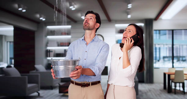 Best Flood damage cleanup  in Walnut Cove, NC