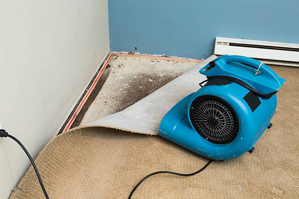 Best Commercial water damage restoration  in Walnut Cove, NC